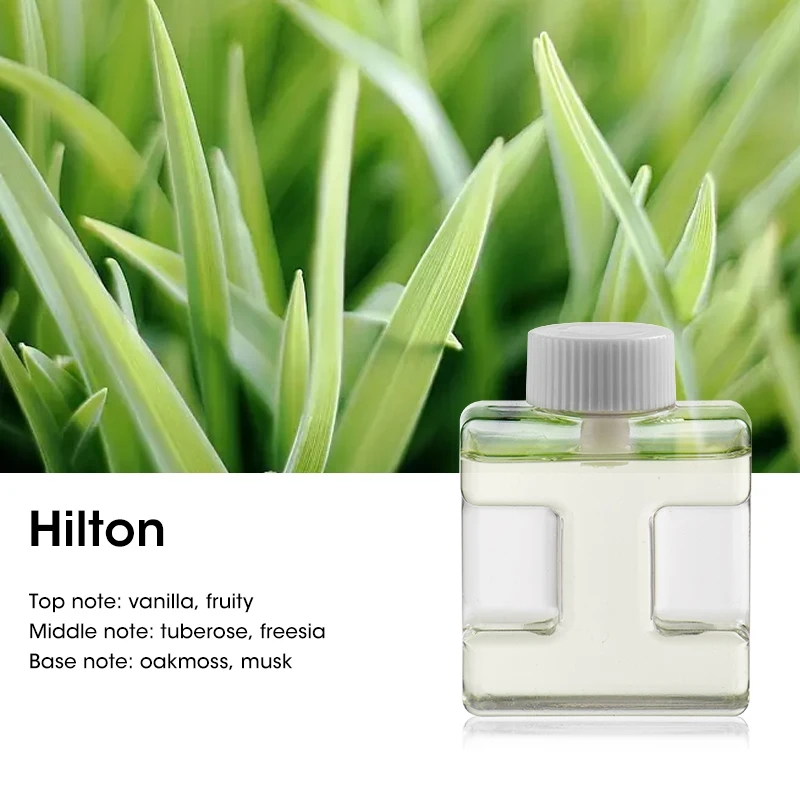 Compact 50ml Ultrasonic Aromatherapy Diffuser and Air Purifier
