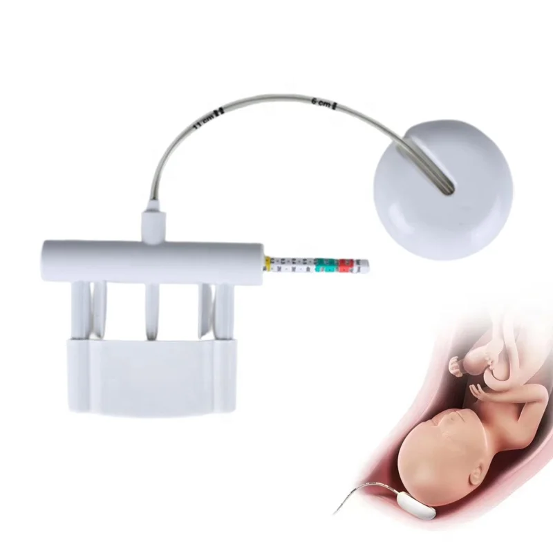 

Obstetric Suction Cup Disposable Obstetrical Ventouse Fetal Head Vacuum Extraction Delivery System for Childbirth