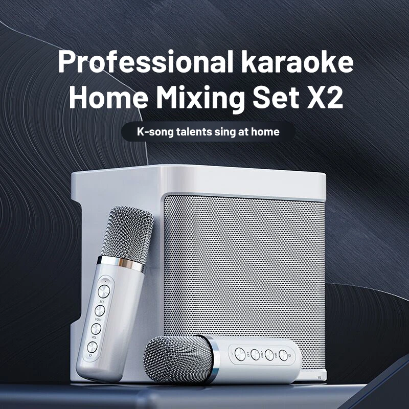 100WYS203portableprofessionalkaraokedualmicrophoneBluetooth