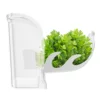 Herb Crisper Saver Container Refrigerator Side Opening Container Herb Vegetable Keeper Fresh Bottle Kitchen Gadgets 2