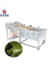 Kelp Skirt Vegetable Desalting Hair Roller Cleaning Equipment Spanish Mackerel Fish Washing Machine Crayfish Kelp Cleaner 1