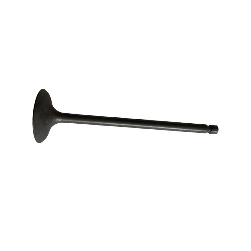 C4.2 C6.4 Engine Intake Valve Excavator Parts For Carter 312D 313D 315D 319D 320D 323D