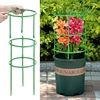3/6/9/12Sets Plant Support Pile Stand Flowers Plant Arrangement Fixing Rod Plants Stake for Garden Supplies Home Yard Planting 4