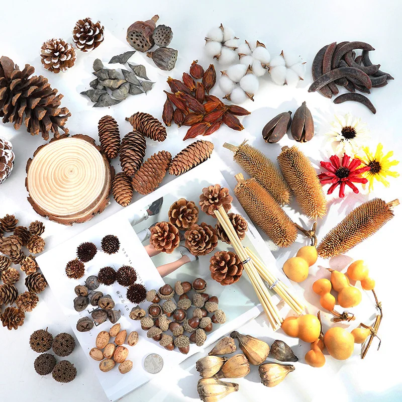 

Натуральные сушеные фрукты, ретро текстура, желудь пинезона, Рождественский домашний декор, гирлянда, ингредиенты, декоративная ручная раб...