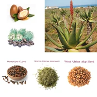 One Touch to Gorgeous 110 ml African Rosemary＆ Cloves Hot Oil  Accelerate the Scalp to Deliver More Nutrients to Hair Follicles 2