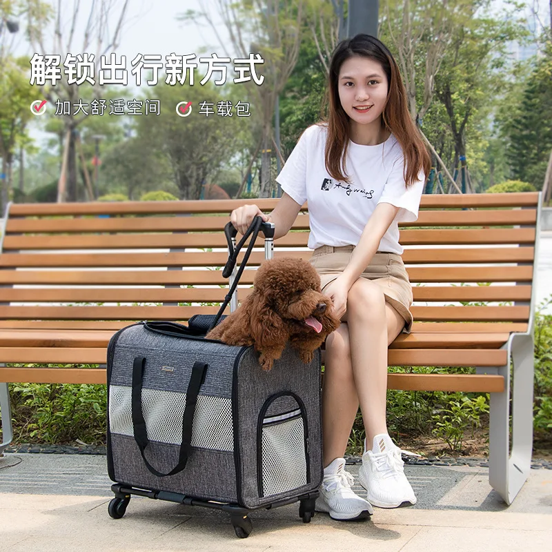 Pet Trolley Bag for Dogs To Go Out Multifunctional Trolley Box for Cats To Carry Around Foldable Pet Cat Bag Space Capsule