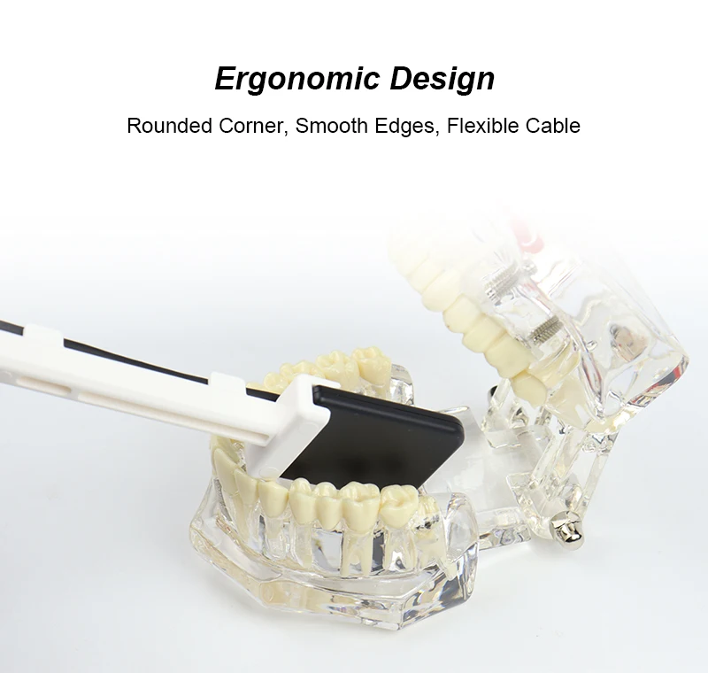 VV Dental X-Ray Digital Sensor Intraorales HD-Bildgebungssystem in Klinikqualität und Echtzeitübertragung 0,3 s mit Sensorhalterungssatz – Detail 6