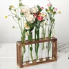 Simple Nordic Test Tube Glass Vase Decoration Creative Wooden Frame Hydroponic Plant Container Home Decoration 3