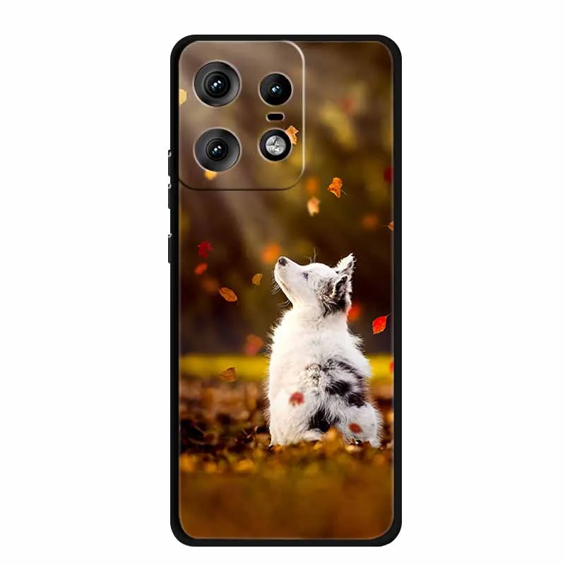 Charming Cat Design Soft TPU Silicone Phone Case - Painted Back Cover for Motorola Moto Edge 50 Pro 5G 2024