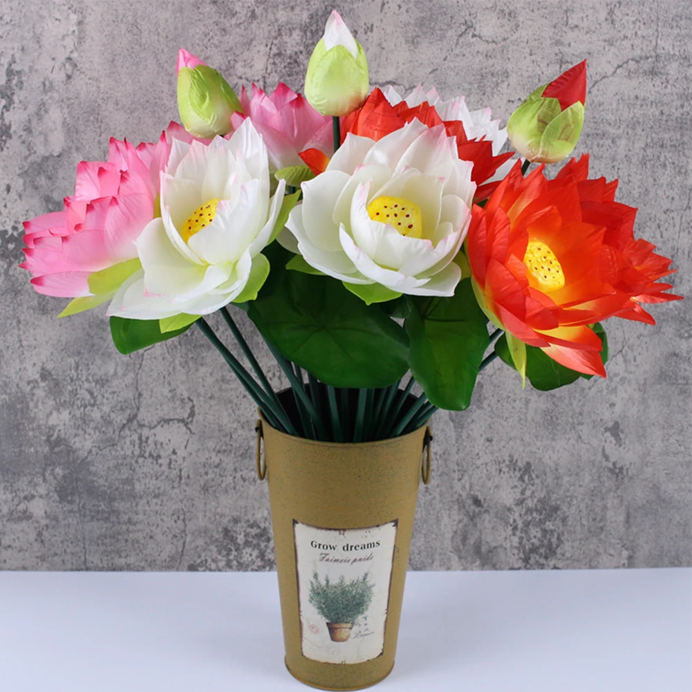 Shop1103269309 Store