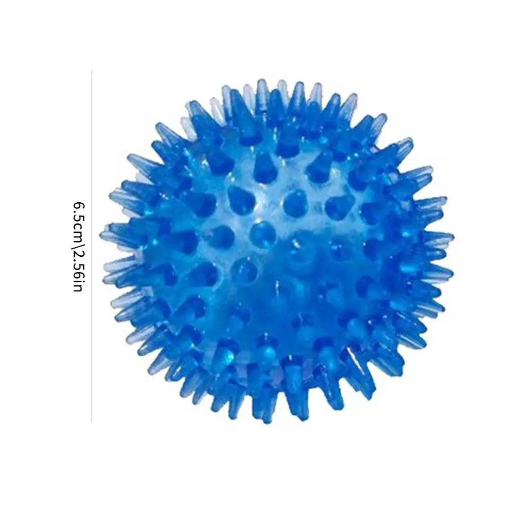 Spiky Chew Ball Dog Toy 6