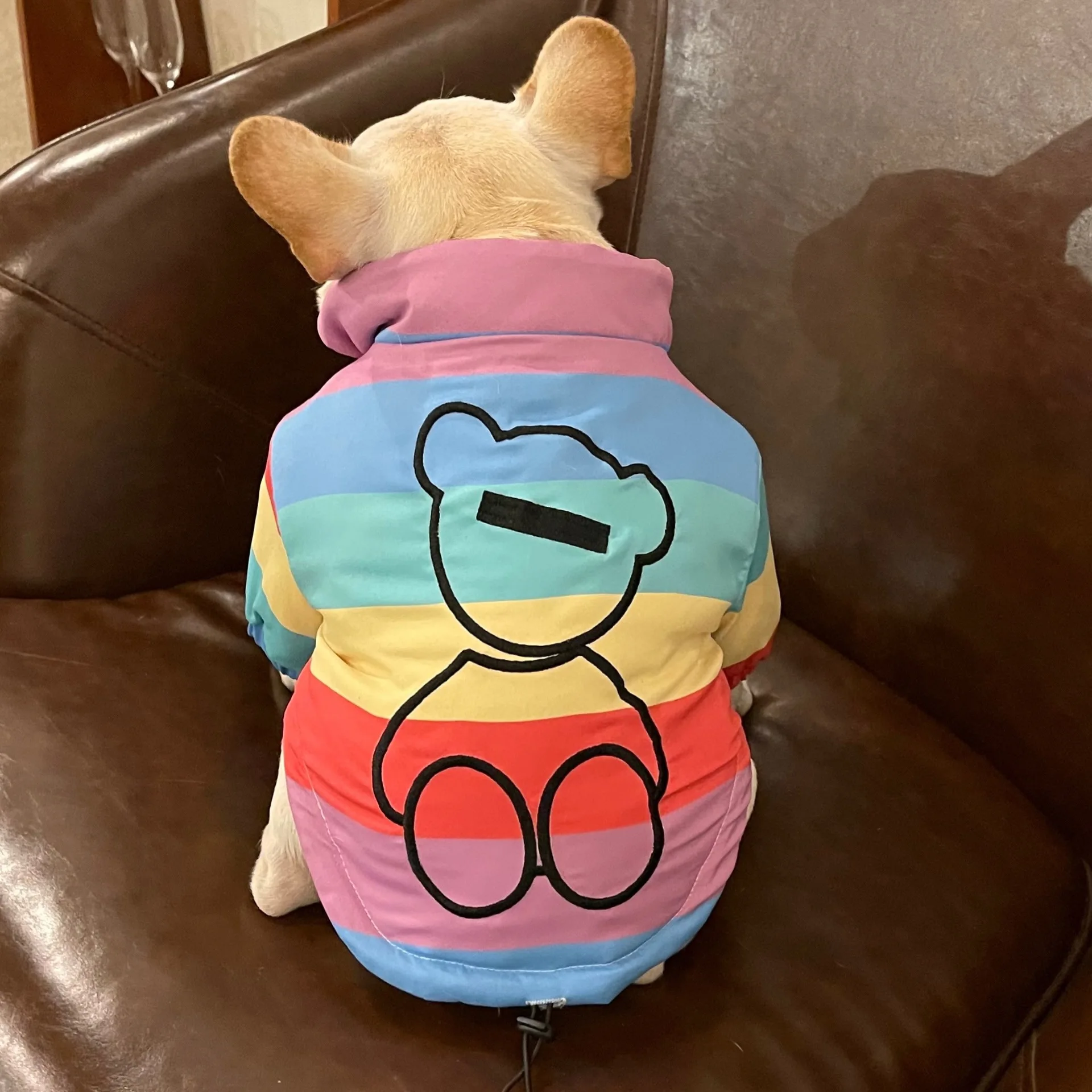 

Pet Clothes Pug Schnauzer Teddy Bichon Dog Cat Rainbow Color Winter Coat