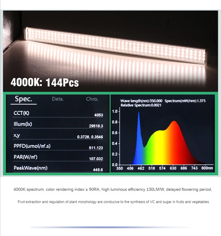 Phyto LED, Phyto Lâmpada para Plantas de