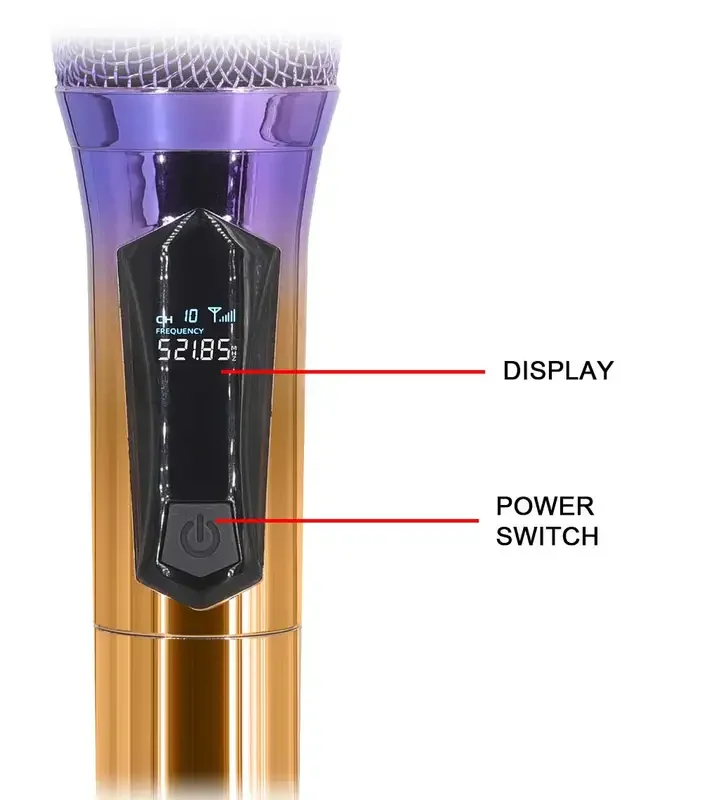 Professional Wireless Microphone UHF Fixed Frequency 2 Channel Handheld Device for Party Lecture Church Stage Performance