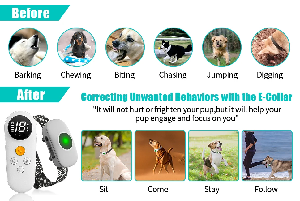 Train Your Dog Effectively with the Rechargeable Anti Bark Dog Training Collar
