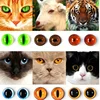 30Pcs Glass Eye for DIY handmade Dolls Animal Cat Dinosaur 4
