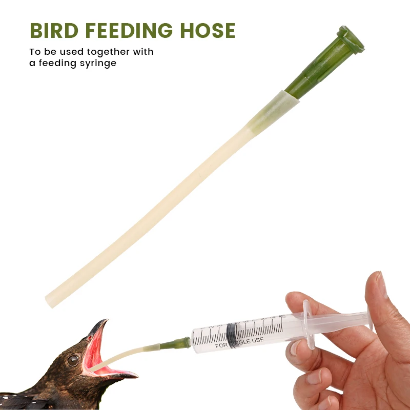 5pcs Bird Feeding Dropper Hose Small Pet Feeder Water Needle Tube Liquid Injection Hose Plastic Bird Accessory Parrot Tool