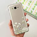 Case-c46