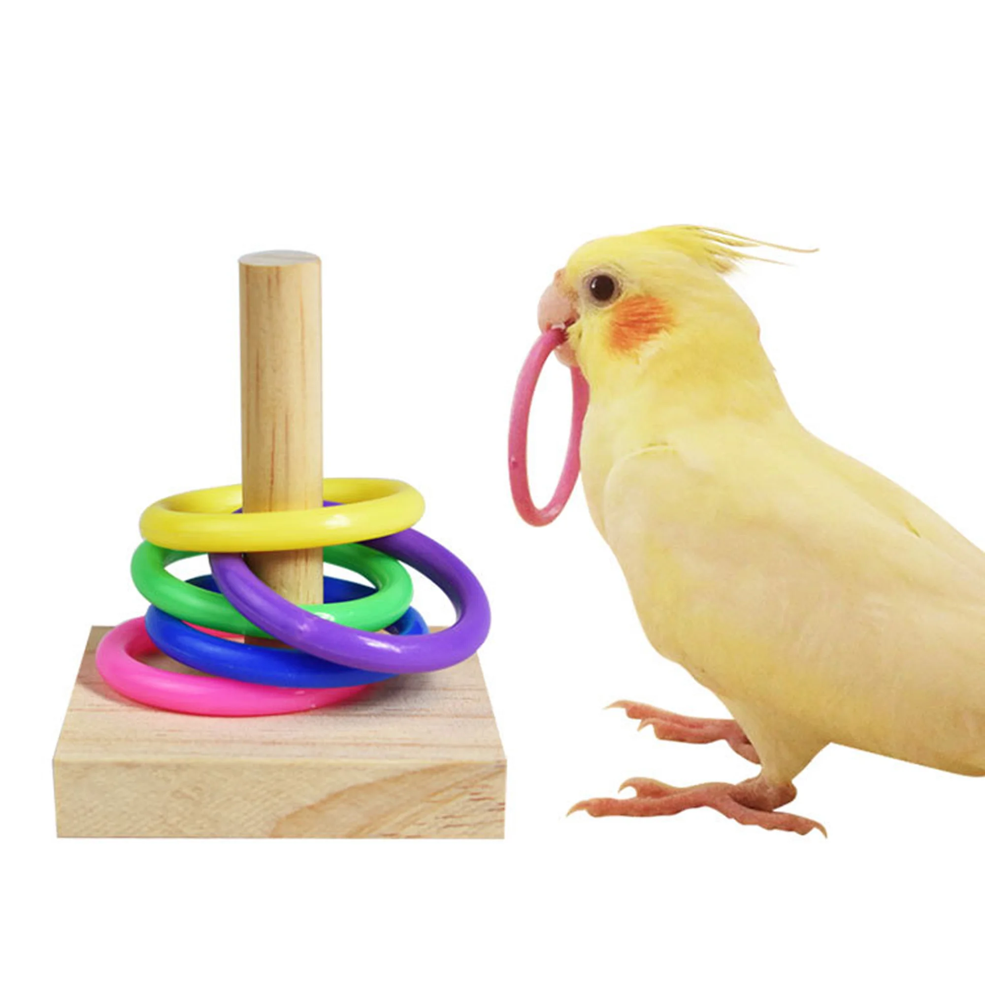 Paot Standing Toy, Pet Bids Wooden Ginding Clean