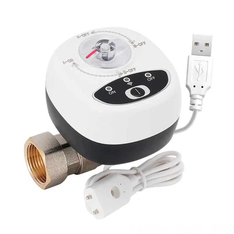 Controllo Acqua Gas App Valvola Acqua WiFi Intelligente - Controllo App