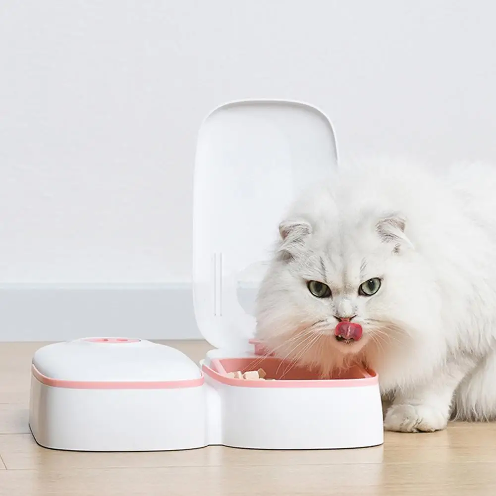 Alimentador de comida portátil para mascotas, accesorio con cierre a presión, temporizador, dispensador de agua