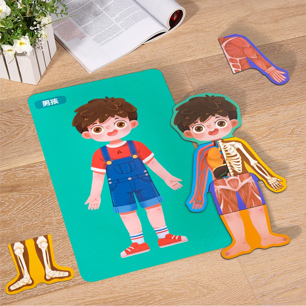 Human Body Structure Bone Cognitive Puzzle Wooden Toys For Boys Girls Children Safety Educational Toys 3