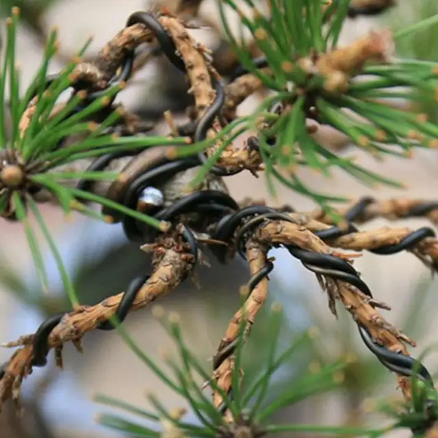 Fekete Bonsai Huzalok Eloxált Alumínium Edzőkereszt Összesen 16,5 Feet - Image 3