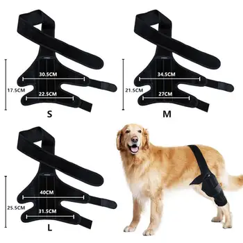 Dog Knee Support Brace 1