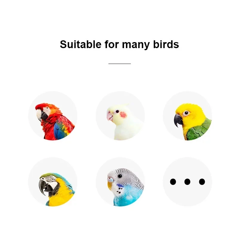 NONOR 1Set Of Training Pet Bird Toy Set Interactive Parrot Equipment Set Funny Bird Activity Toy Pet Basketball Skateboard