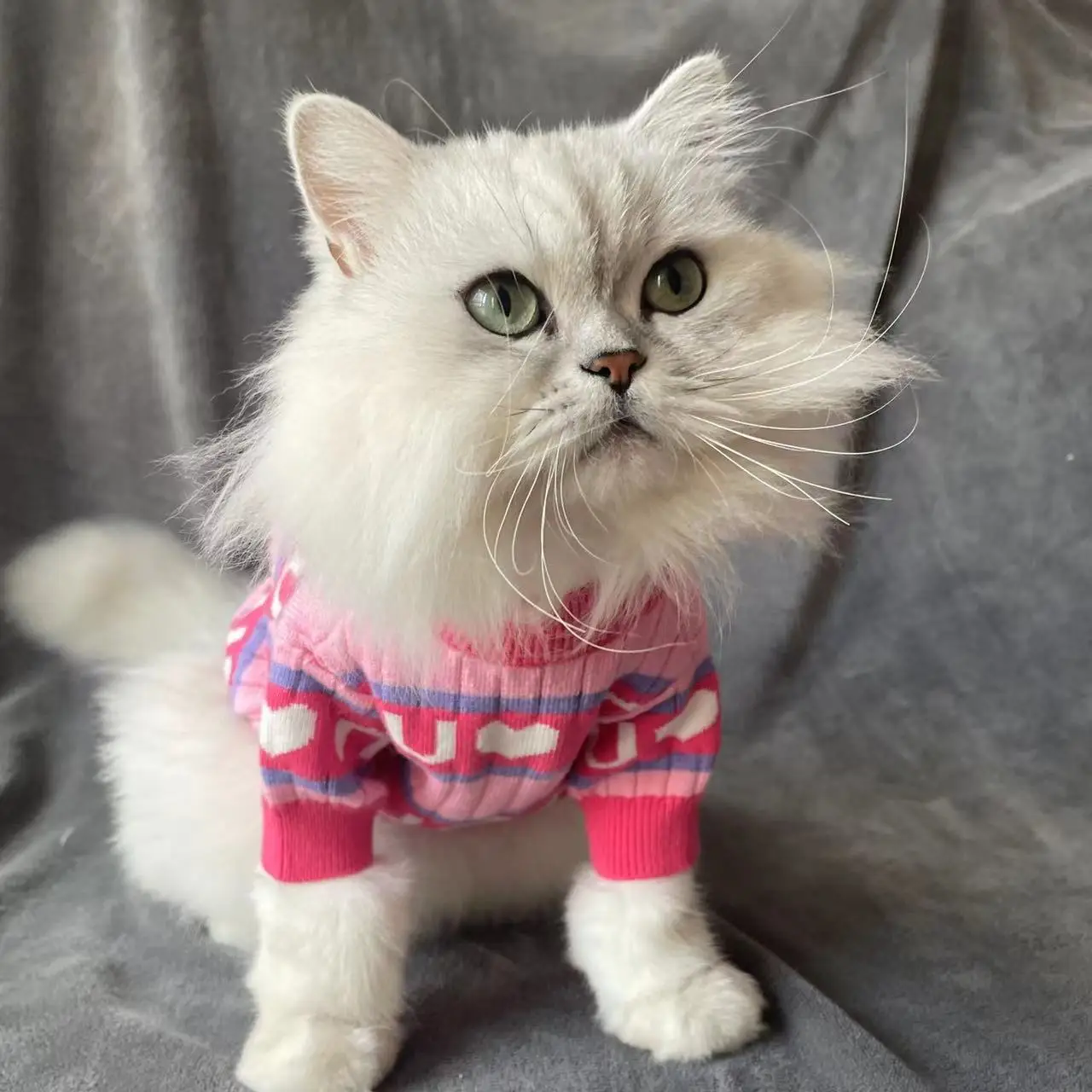 Pet Dog Clothes Knit Sweater Cat Dogs Jacket Autumn Winter dog clothes pet sweater