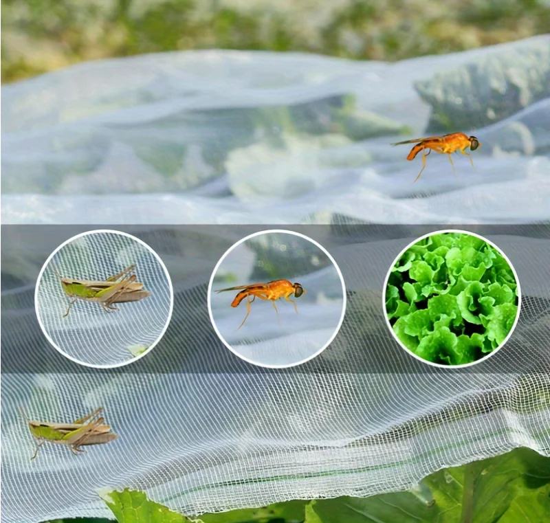 1 Packung, insektensicheres Netz HDPE 60 Mesh transparente Mesh-Barriere ultrafeines Pflanzenfruchtbaumnetz Gemüse Blaubeere, Reihenabdeckung ne – Detail 6