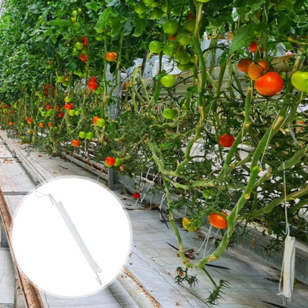 

Hook Plant Hooks Clamps Planting Cucumbers Garden Garden Tools 10pcs Accessories Hook Plant Hooks Plant Supports