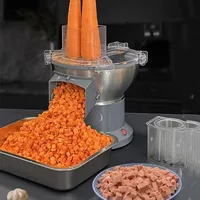 110V/220VMultifunctional Vegetable Carrot Potato Dicing Machine Cutter Slicer Commercial Dicing Machine Small Electric Slicer 1