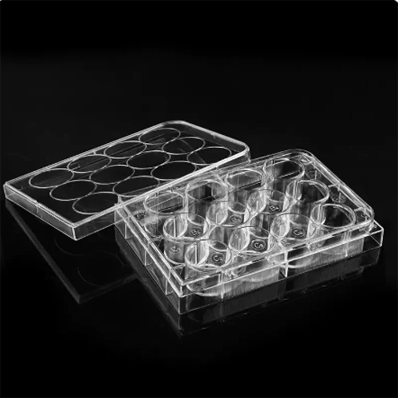 10Pcs 6/12/24/48/96 hole Flat Bottom Cell Culture Plate Bacterial Culture Plate Enzyme Label