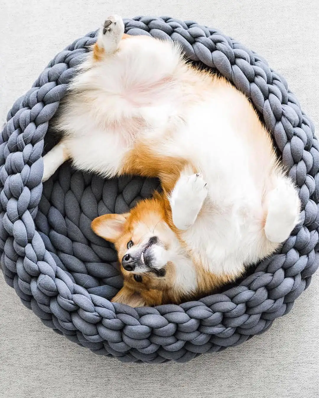 Fluffy Round Bed Soft Plush Pet - PeticaDeals