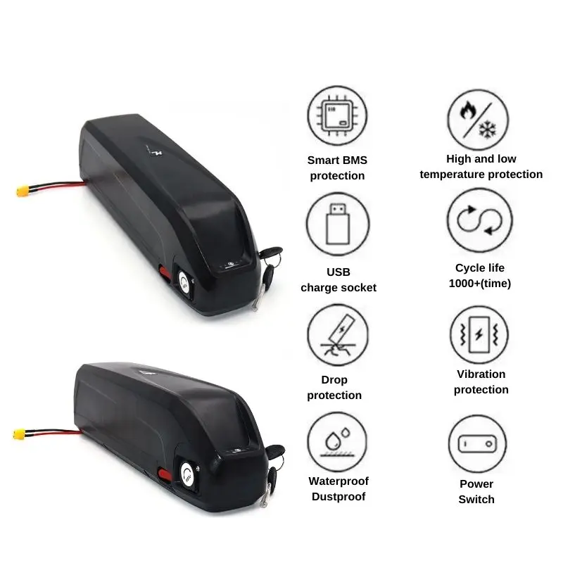 Hailong Electric Scooter Battery 36V 48V 52V 20Ah-30Ah for 250W~1000W Motorcycle/bicycle Waterproof Lithium Battery + Charger