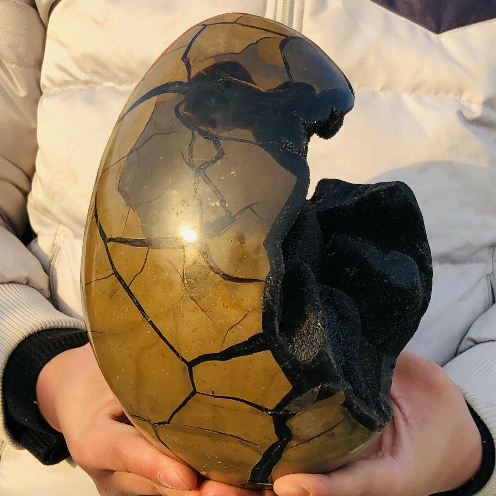 Natural Turtle Back Stone Egg Shape Dragon Crystal Crack Mineral SpecimenHome Office Hallway Decoration Healing Gift 3