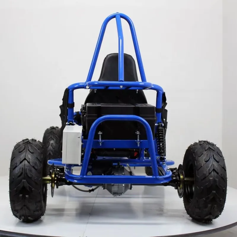 Electric Option 1000W 60KM/H Amusement Park Adult Go Karting with Shaft Drive Engine