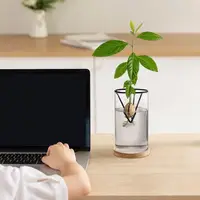 Avocado Tree Starter Vase Avocado Tree Growing Kit 3 Pieces Wooden Base Starter Vase Glass Propagation Plant Pot Sprout Growing 2