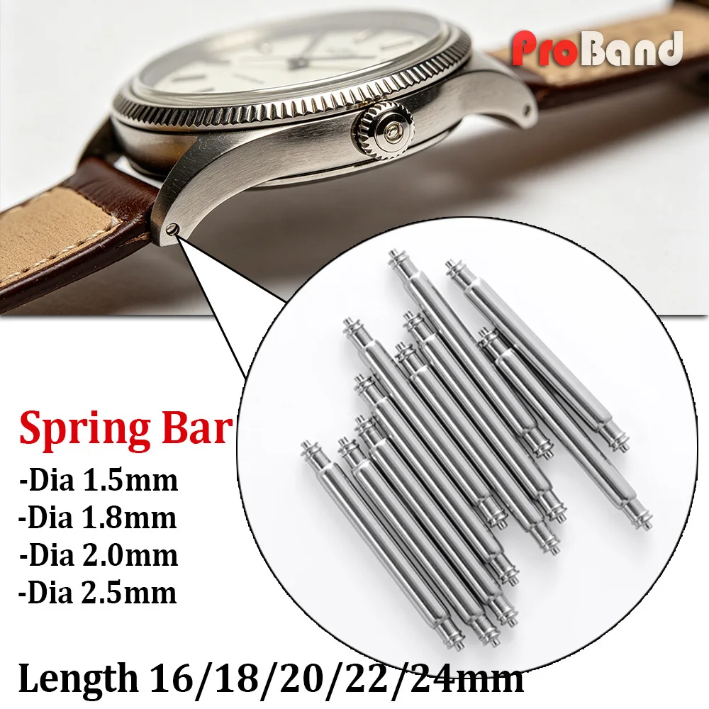 Premium Stainless Steel Spring Bar Set with Tool - Assorted Sizes