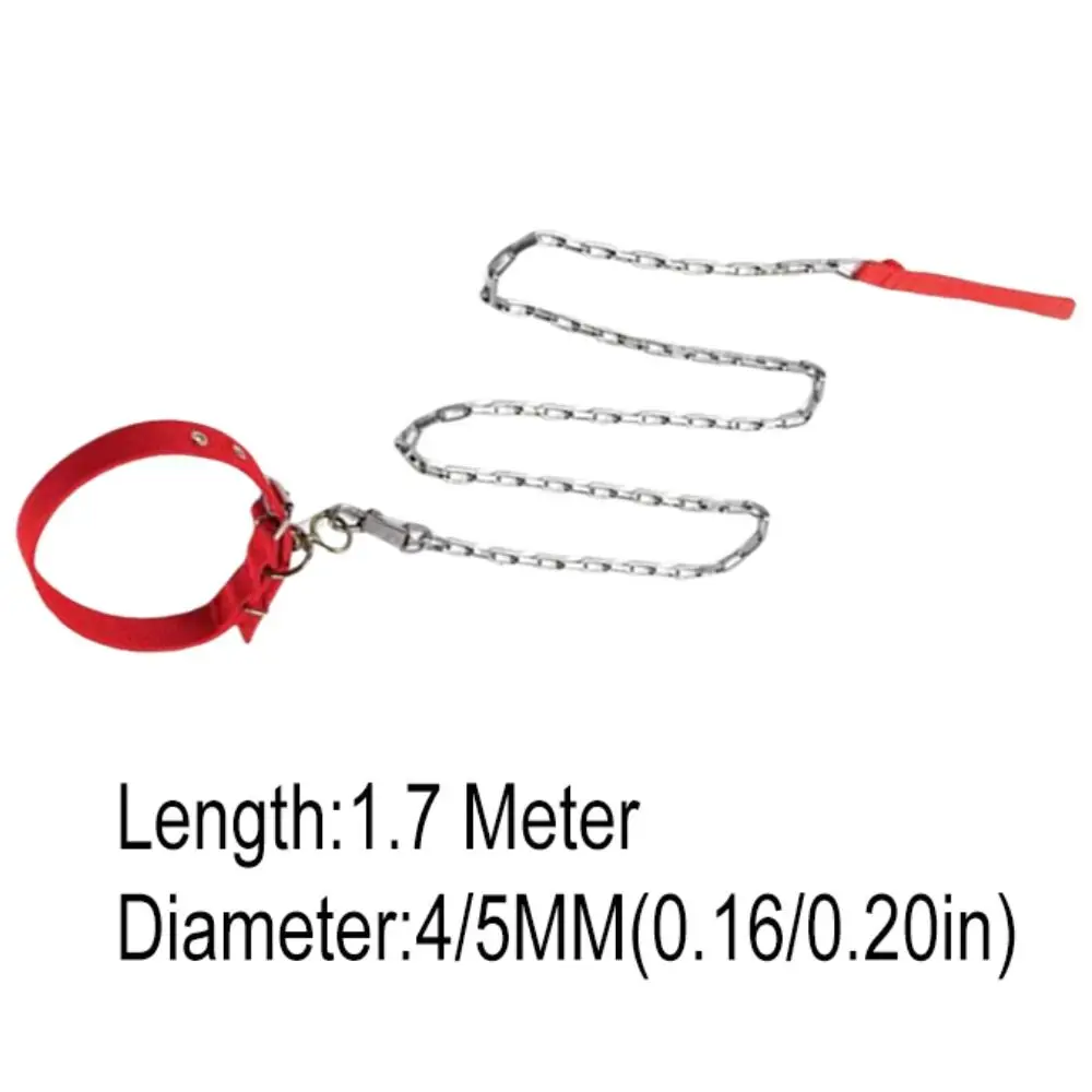 Foam Collar Iron Dog Chain Bite Resistant Anti-wear Pet Dog Leash Adjustable Rust-proof Dog Traction Rope Walking The Dog