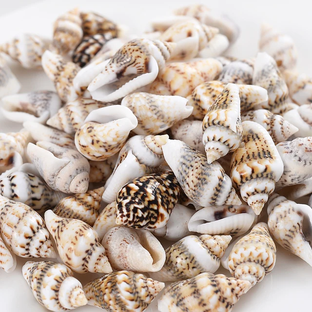 20g A