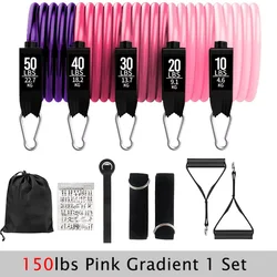 Versatile Workout Resistance Bands Set for Fitness & Strength Training (150lbs Pink Gradient)
