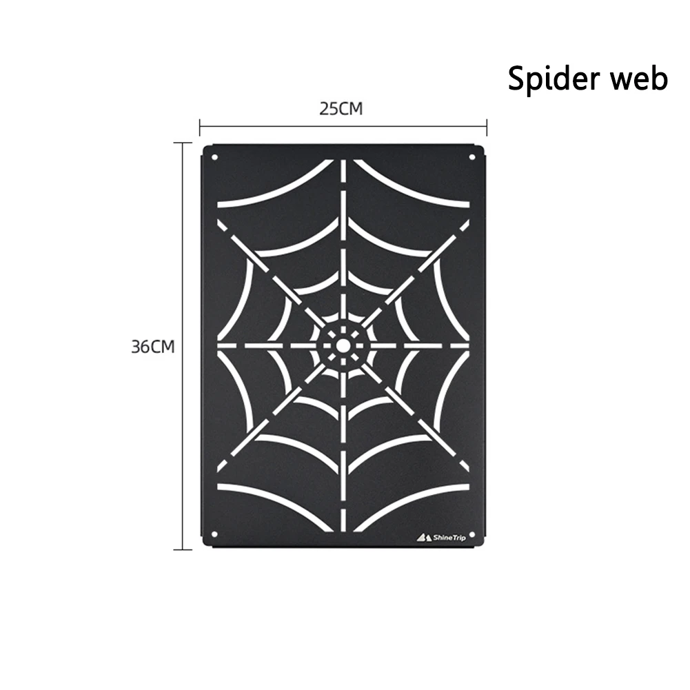 Spider web 002