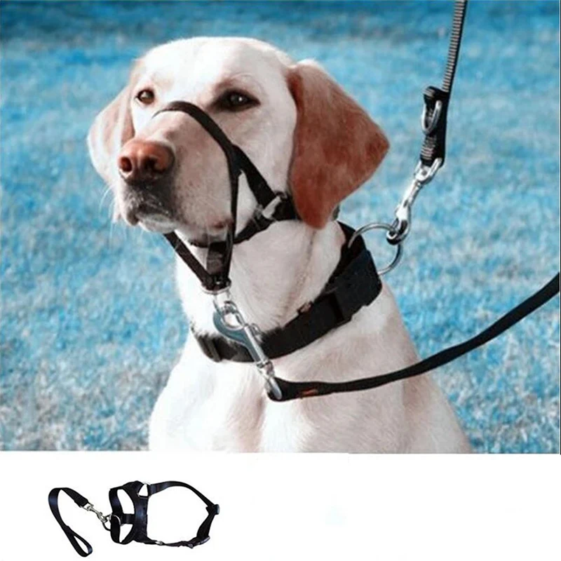 Dog Training Muzzle Muzzle, Dog Mouth and Nose Ring Training, Anti-impact Pull, Leash, Walking Pet Supplies