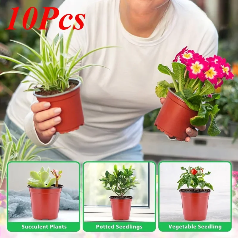 Macetas-de-pl-stico-para-plantas-de-vivero-maceta-de-pl-ntulas-para ...