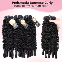 PerisModa 15A Burmese Curly Bundles 100% Human Hair Bundles Pix Curly Bundles Raw Unprocessed Human Hair Extensions 1/3/4 Pcs 2