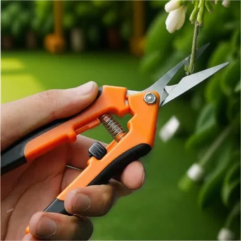 Portable Stainless Steel Pruning Shears Fruit Picking Scissors for Household Potted Plants and Small Gardening