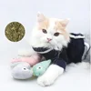 Pet Molar Bite toy Cartoon Stuffed Animal Cute Plush Cat Chew Toy Interactive Pets Toys For Cat 5