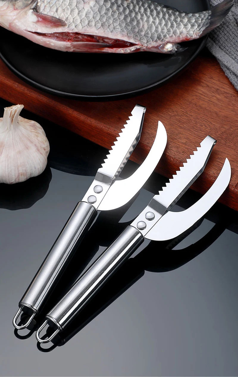 Scale Fish Scraper - Angle 6